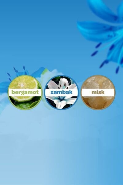 Dalin Deniz Esintisi Bebek Kolonyası 150 ml