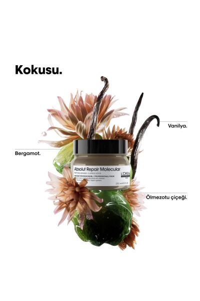 Loreal Professionnel Paris Serie Expert Absolut Repair Molecular Saç Maskesi 250 ml