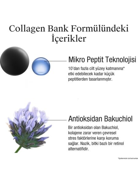 Neutrogena Collagen Bank Nemlendirici Gece Kremi 50 ml